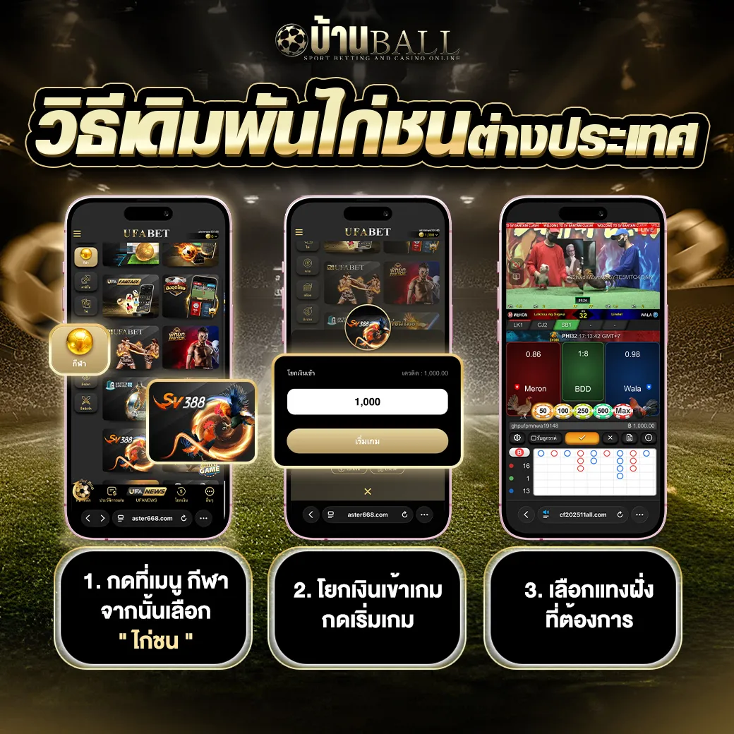 วิธีเดิมพันไก่ชนต่างประเทศ-บ้านบอล_9