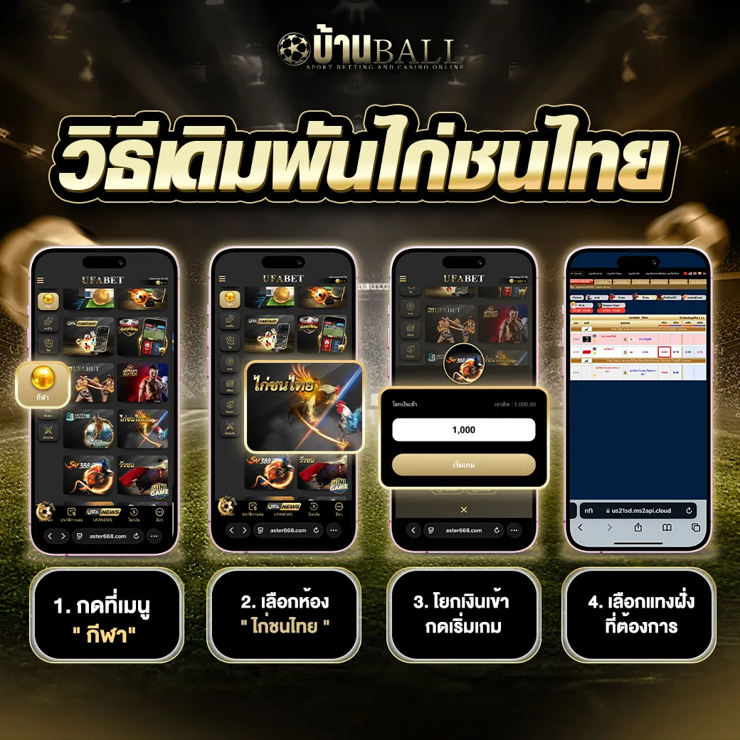 วิธีเดิมพันไก่ชนไทย-บ้านบอล_10